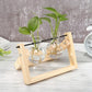 Glass and Wood Vase Planter Terrarium Table Desktop Hydroponics Plant