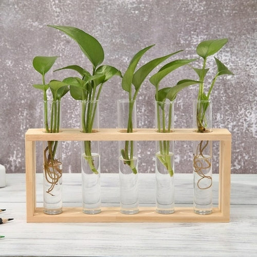 Glass and Wood Vase Planter Terrarium Table Desktop Hydroponics Plant