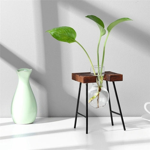 Glass and Wood Vase Planter Terrarium Table Desktop Hydroponics Plant