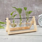 Glass and Wood Vase Planter Terrarium Table Desktop Hydroponics Plant